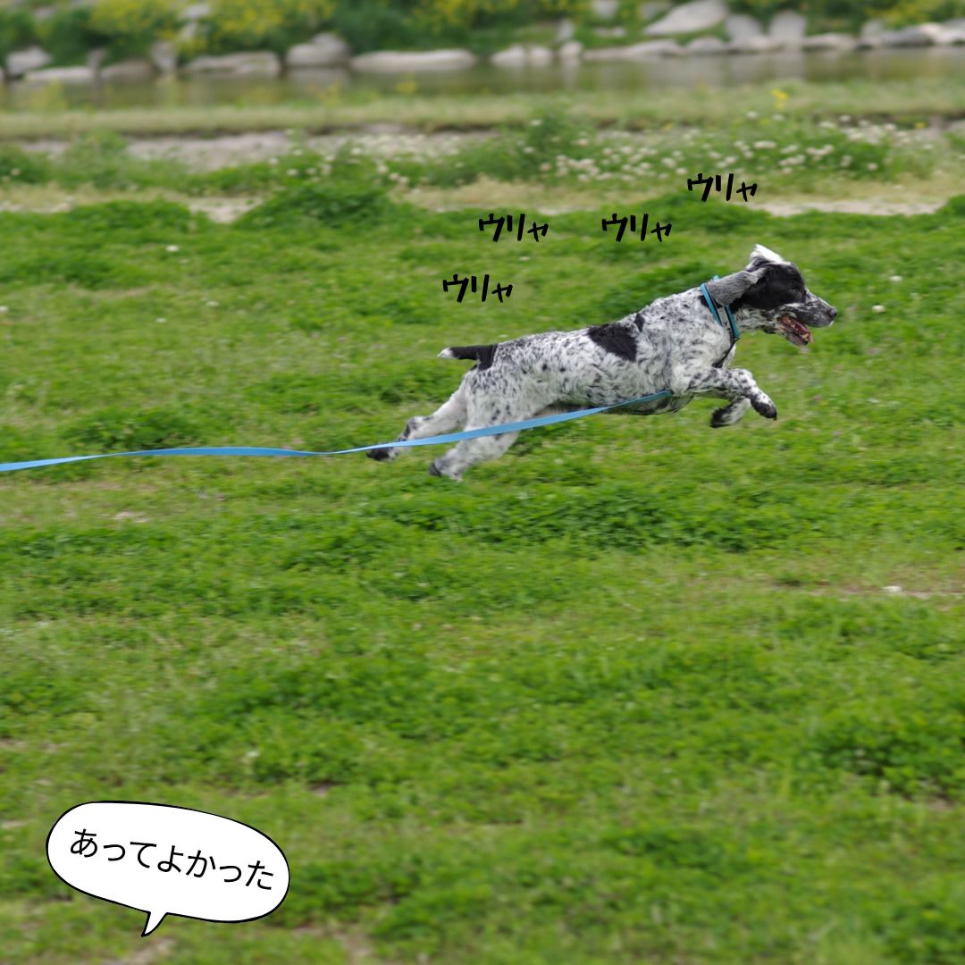 商品1