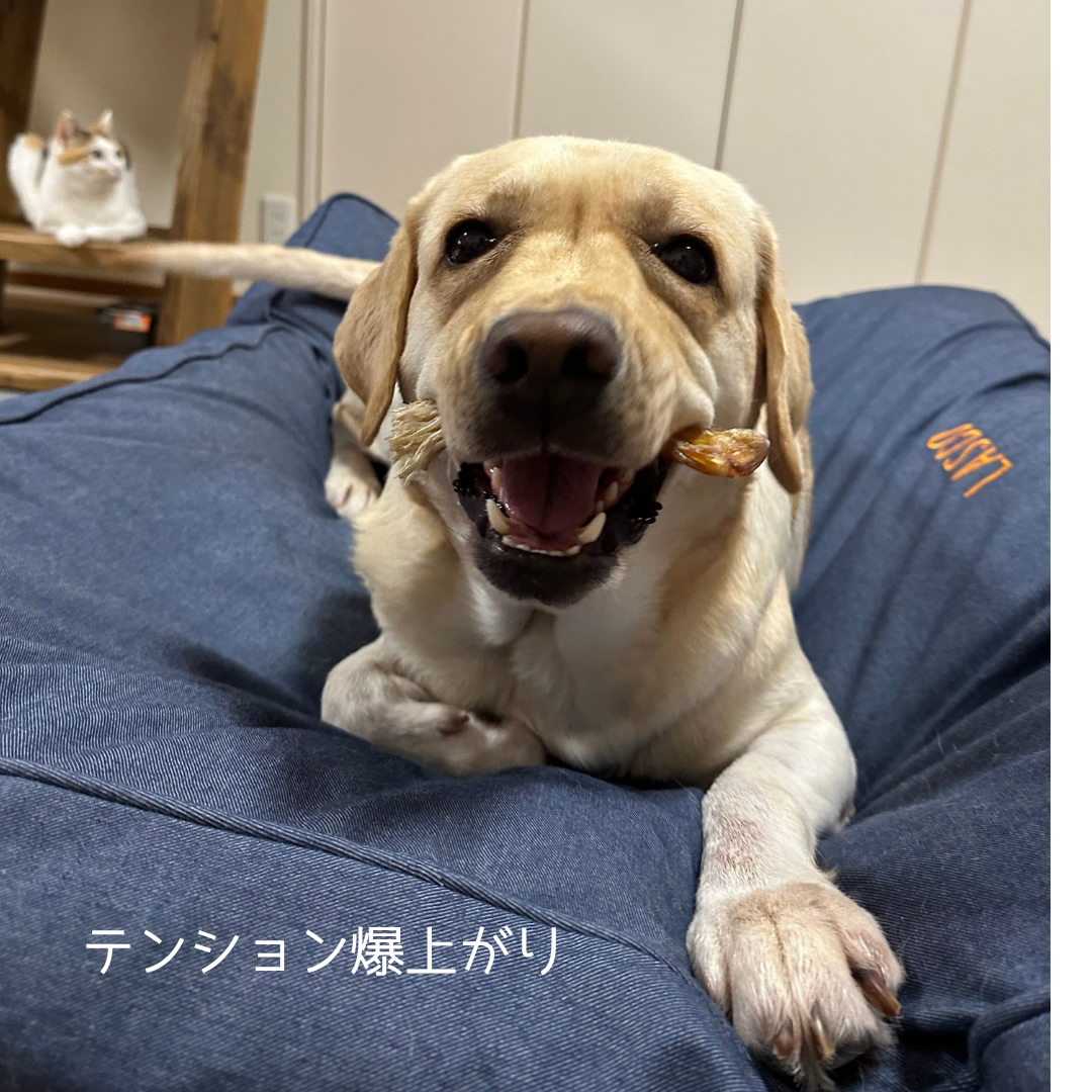 商品1