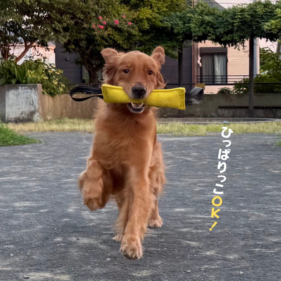 小3