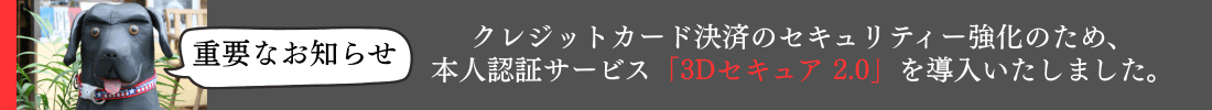 info画像