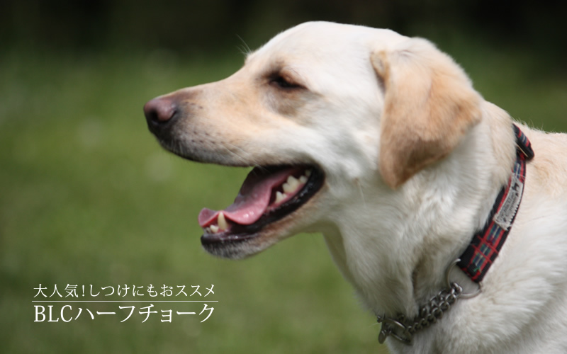 ザ ブラックラブカンパニー ザ ブラックラブカンパニー