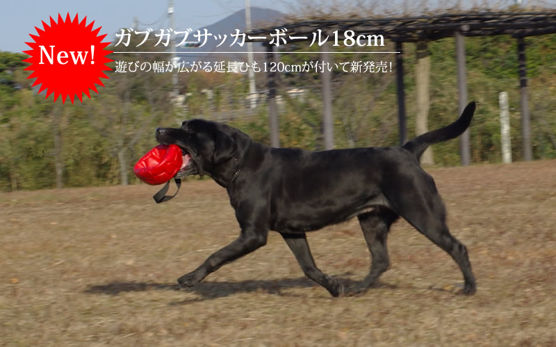 ザ ブラックラブカンパニー ザ ブラックラブカンパニー